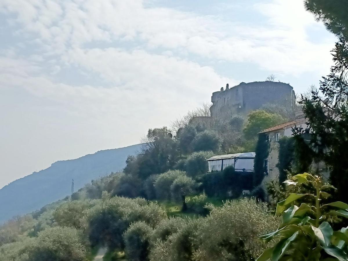 Ca Degli Ulivi Hotel Finale Ligure Bagian luar foto