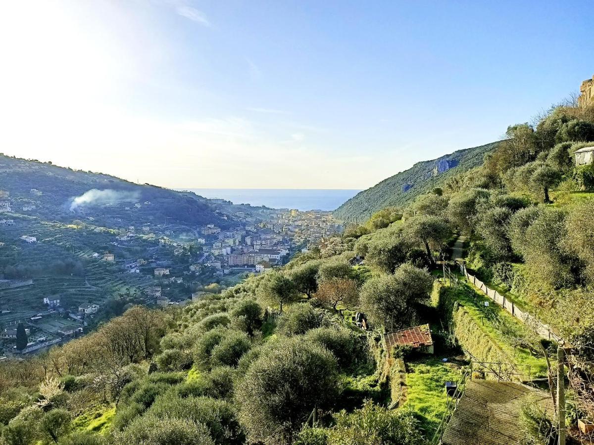 Ca Degli Ulivi Hotel Finale Ligure Bagian luar foto