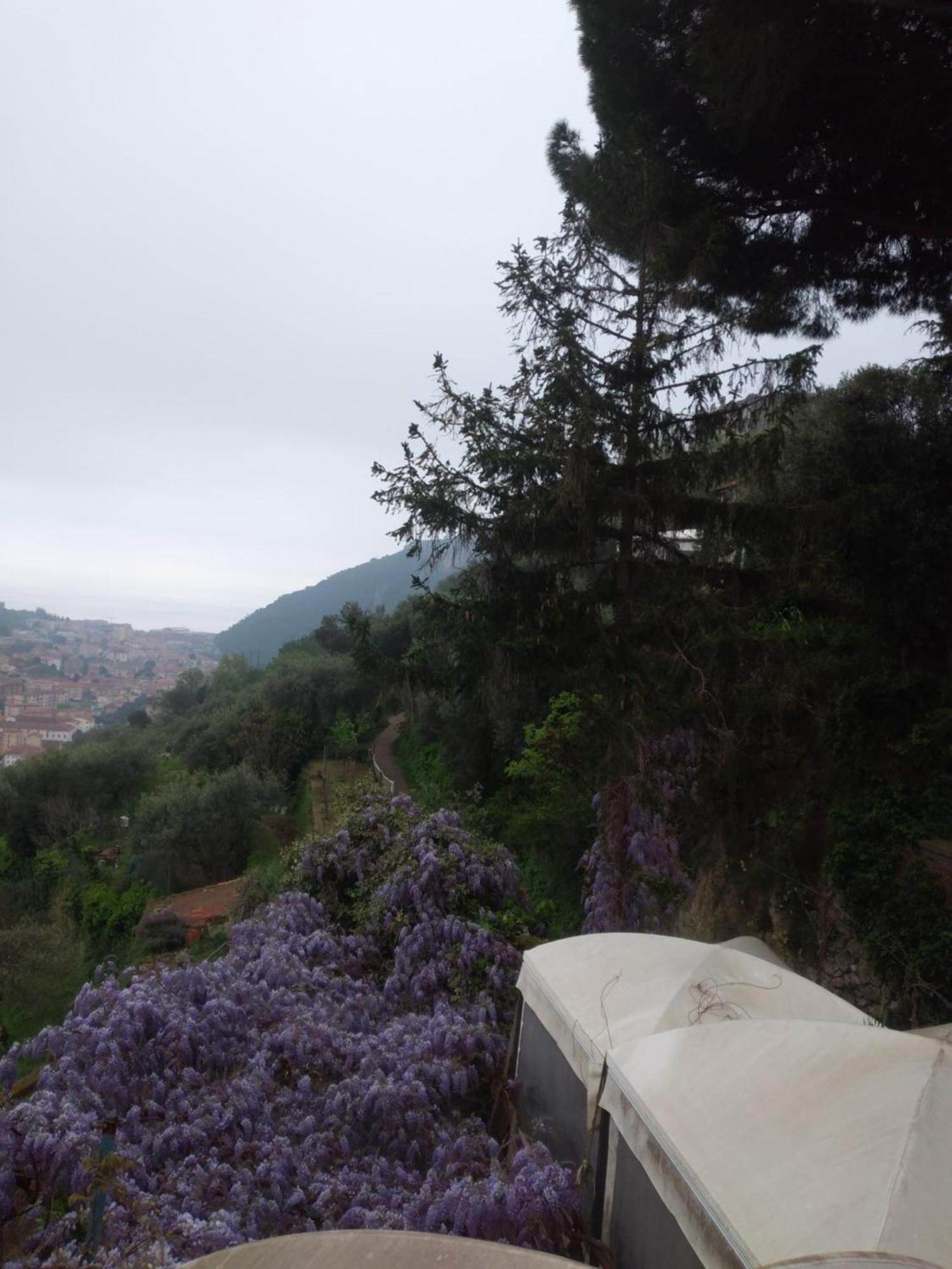 Ca Degli Ulivi Hotel Finale Ligure Bagian luar foto